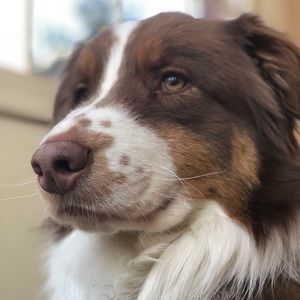 Meet your Posher, Allyson